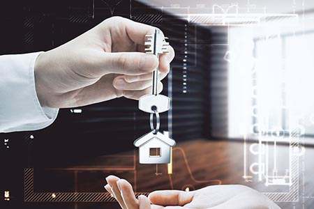 为什么退出猪肉期货(猪肉期货为何会大跌)